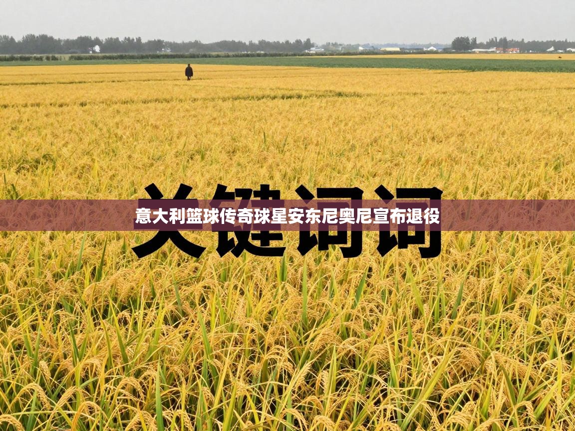 意大利篮球传奇球星安东尼奥尼宣布退役  第2张